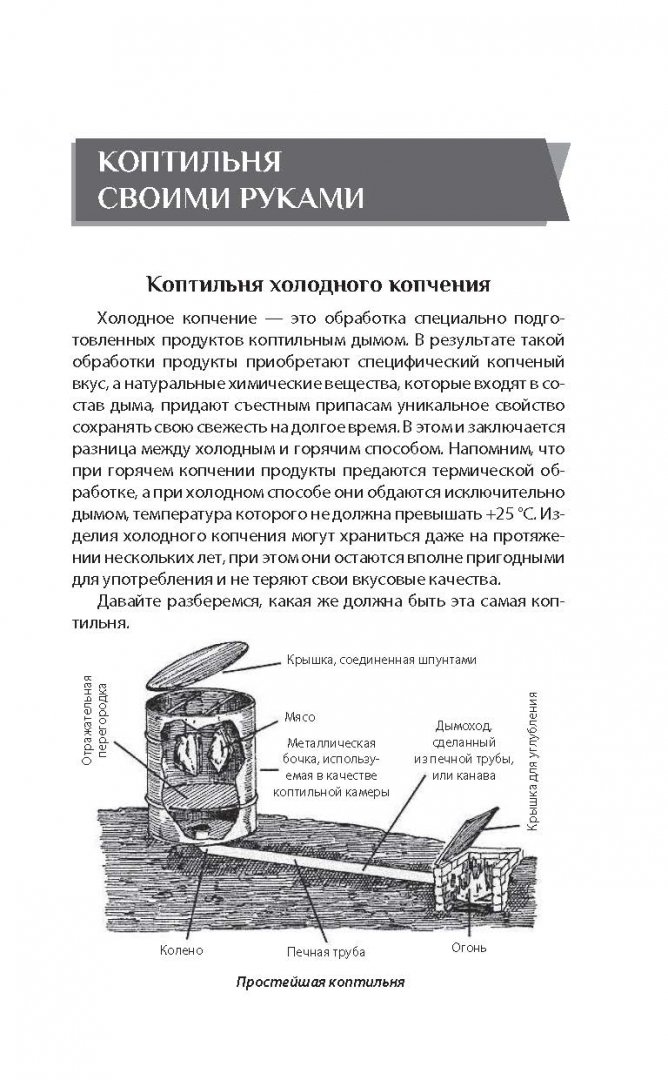 Иллюстрация 14 из 32 для Дачная коптильня. Правильное приготовление и хранение продуктов - Антон Козлов | Лабиринт - книги. Источник: Лабиринт