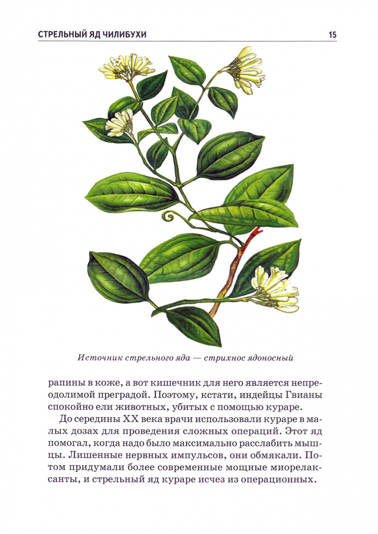 Иллюстрация 2 из 6 для Ядовитые растения и животные - Сергей Афонькин | Лабиринт - книги. Источник: Лабиринт