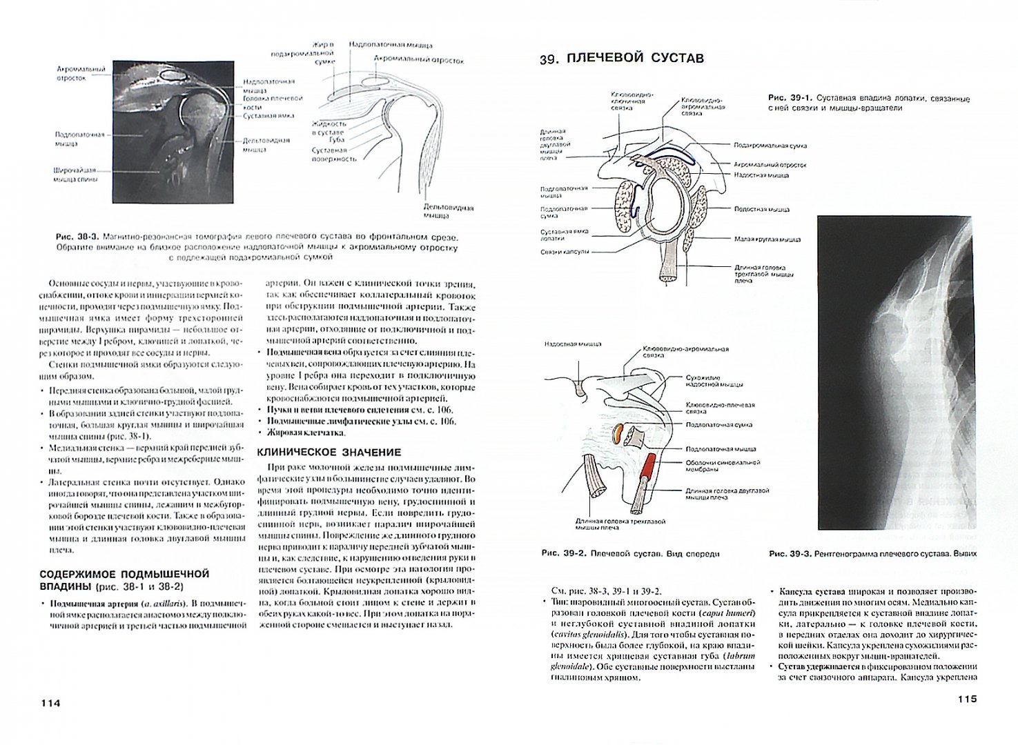 Иллюстрация 1 из 6 для Наглядная анатомия - Блэкберн, Фейц, Моффат | Лабиринт - книги. Источник: Лабиринт