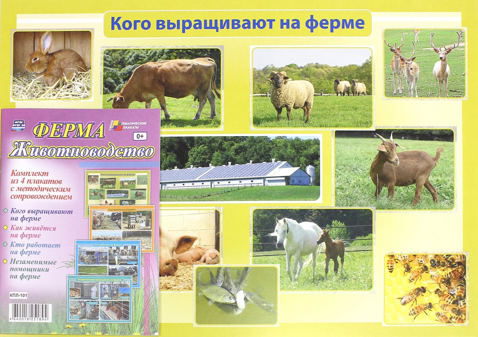 Иллюстрация 1 из 13 для Комплект плакатов "Ферма. Животноводство". ФГОС | Лабиринт - книги. Источник: Лабиринт