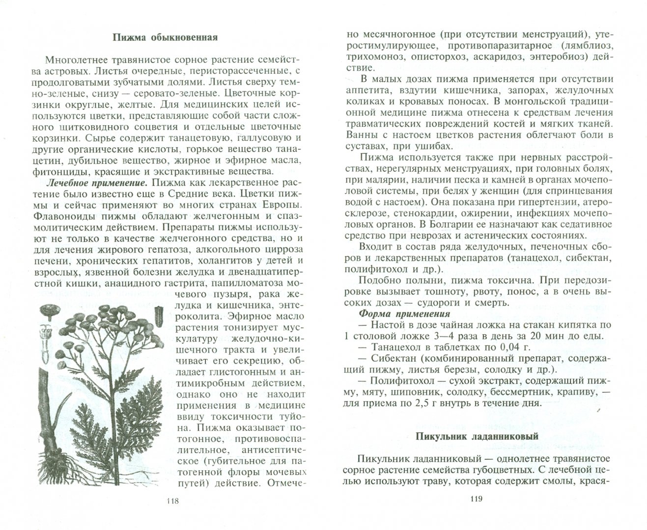 Иллюстрация 1 из 11 для Уникальные лечебные свойства сорняков - Корсун, Викторов | Лабиринт - книги. Источник: Лабиринт