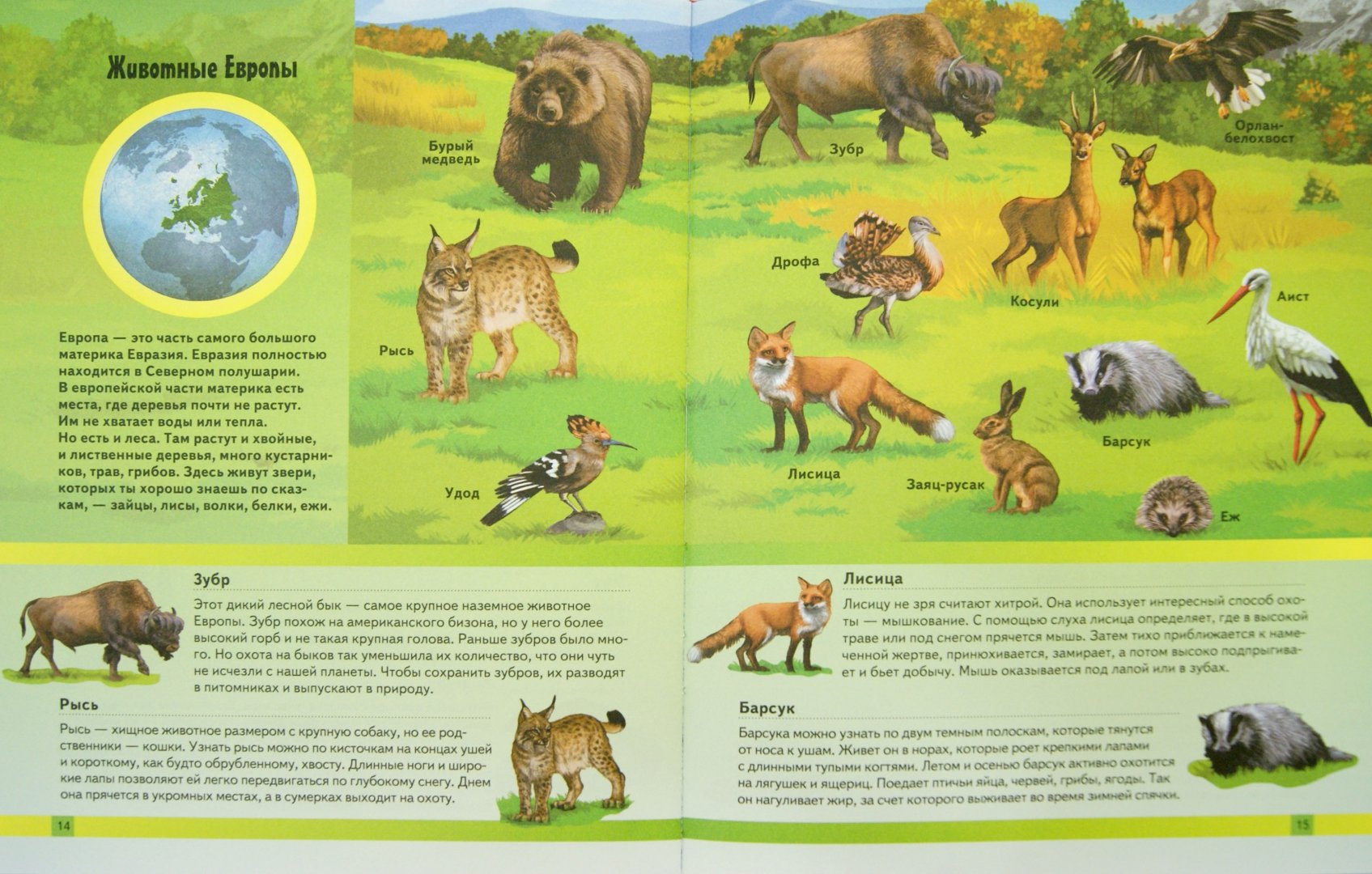 Иллюстрация 1 из 16 для Животные. Иллюстрированный атлас для детей - Елена Култаева | Лабиринт - книги. Источник: Лабиринт