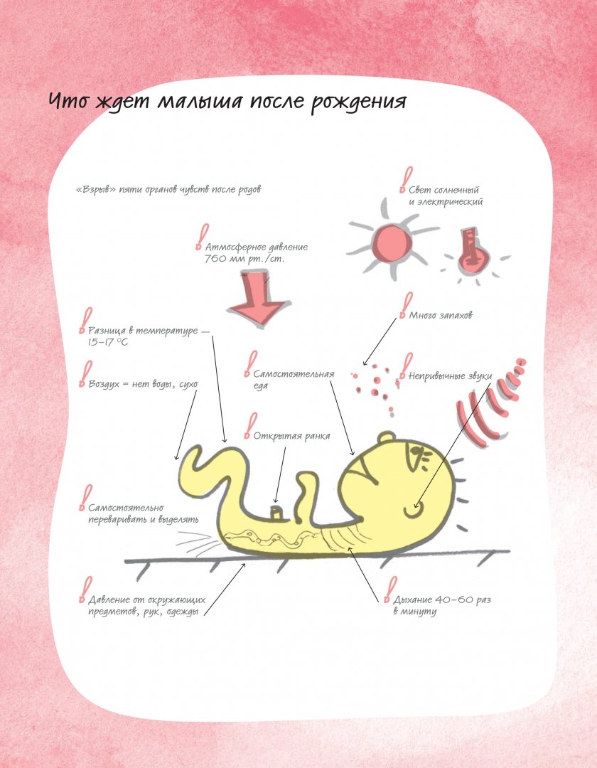 Иллюстрация 9 из 17 для Умная мама: Как подготовиться к рождению ребенка за три дня - Елена Анциферова | Лабиринт - книги. Источник: Лабиринт
