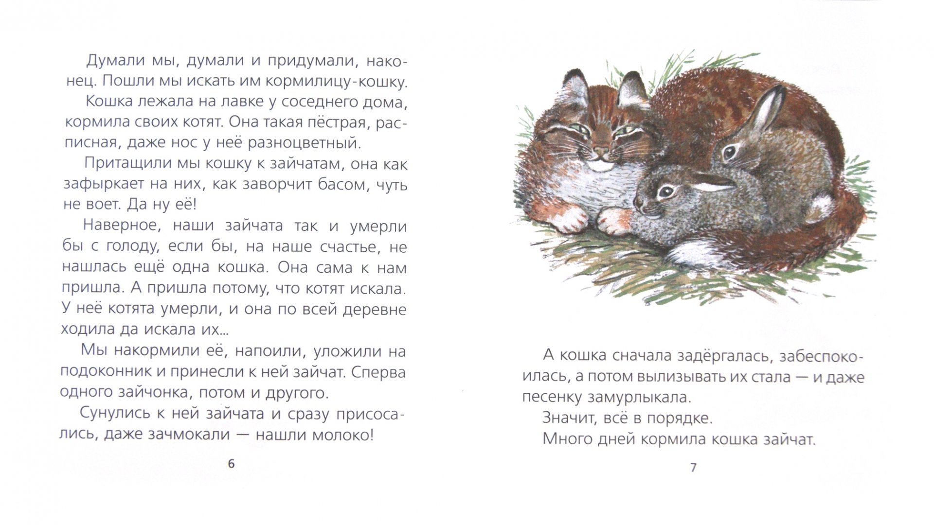 Иллюстрация 1 из 7 для Про зайчат - Евгений Чарушин | Лабиринт - книги. Источник: Лабиринт
