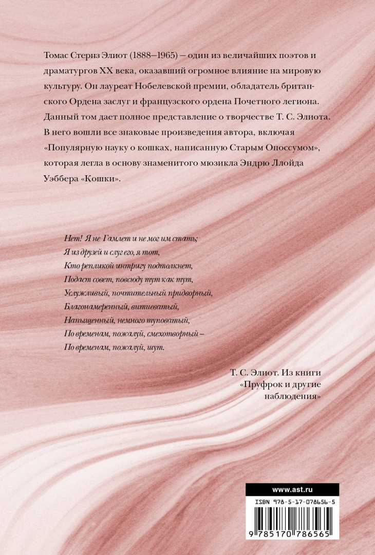 Иллюстрация 1 из 36 для Стихотворения и поэмы - Томас Элиот | Лабиринт - книги. Источник: Лабиринт