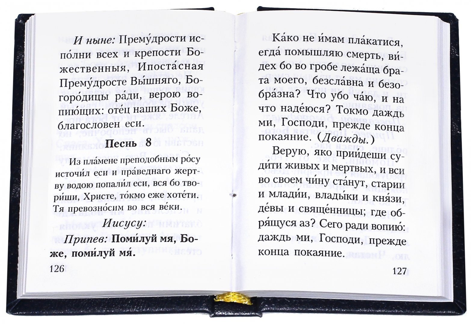 Иллюстрация 1 из 13 для Православный молитвослов карманный | Лабиринт - книги. Источник: Лабиринт