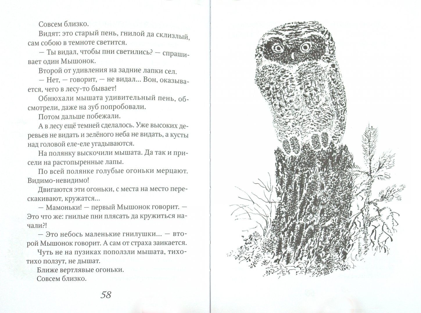 Иллюстрация 1 из 23 для Приключения зайца - Эдуард Шим | Лабиринт - книги. Источник: Лабиринт