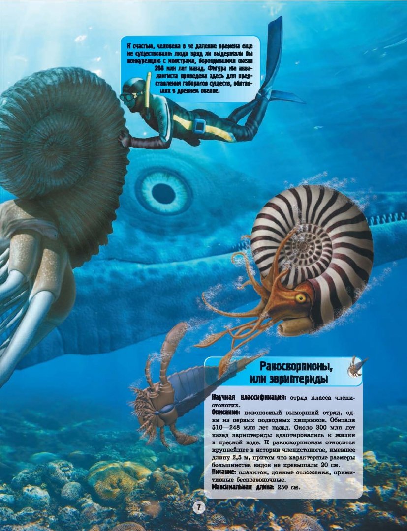 Иллюстрация 13 из 20 для Подводные обитатели - Вячеслав Ликсо | Лабиринт - книги. Источник: Лабиринт