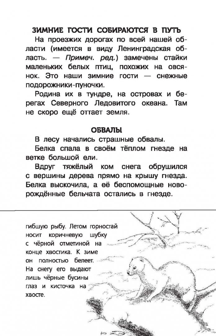 Иллюстрация 11 из 40 для Лесная газета - Виталий Бианки | Лабиринт - книги. Источник: Лабиринт