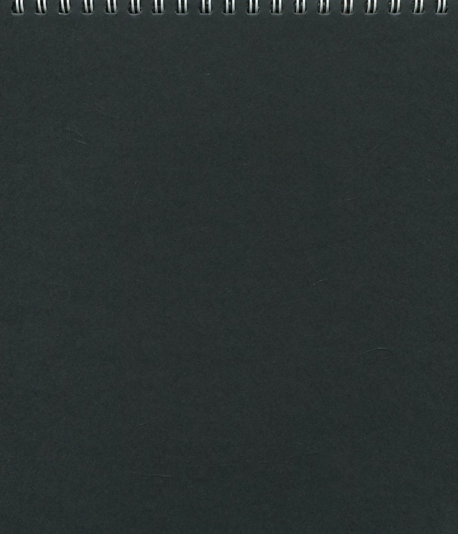Иллюстрация 1 из 5 для Скетчпад "Одуванчики" (30 листов, 168х195 мм, гребень, черная бумага) (49132) | Лабиринт - канцтовы. Источник: Лабиринт