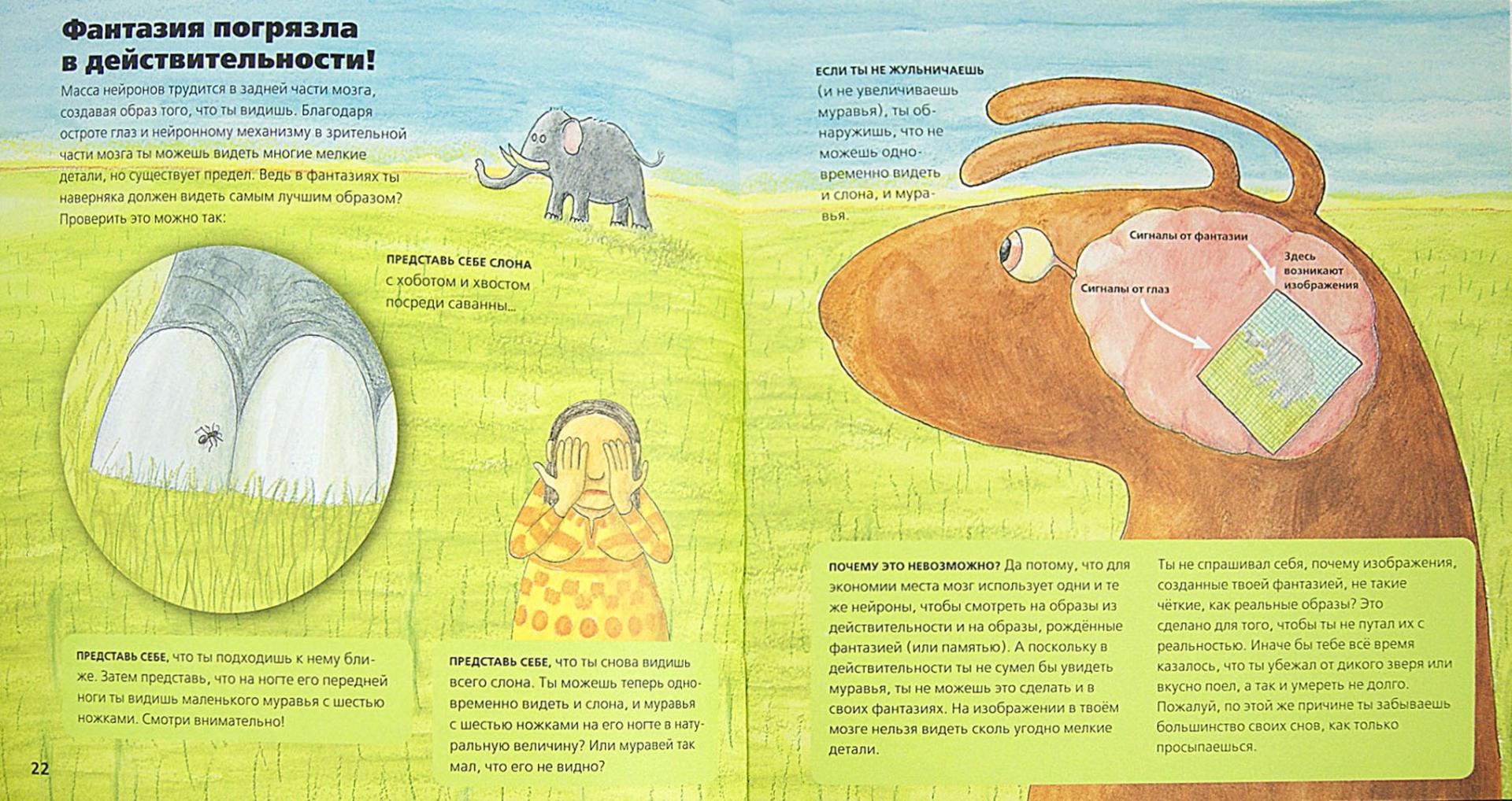 Иллюстрация 1 из 21 для Всё о мозге для детей в рассказах и картинках - Юнатан Линдстрём | Лабиринт - книги. Источник: Лабиринт