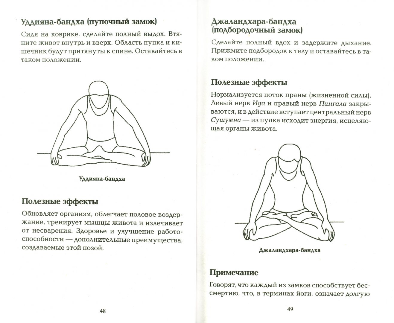 Иллюстрация 1 из 10 для Хатха-Йога для начинающих - Равиндра Кумар | Лабиринт - книги. Источник: Лабиринт