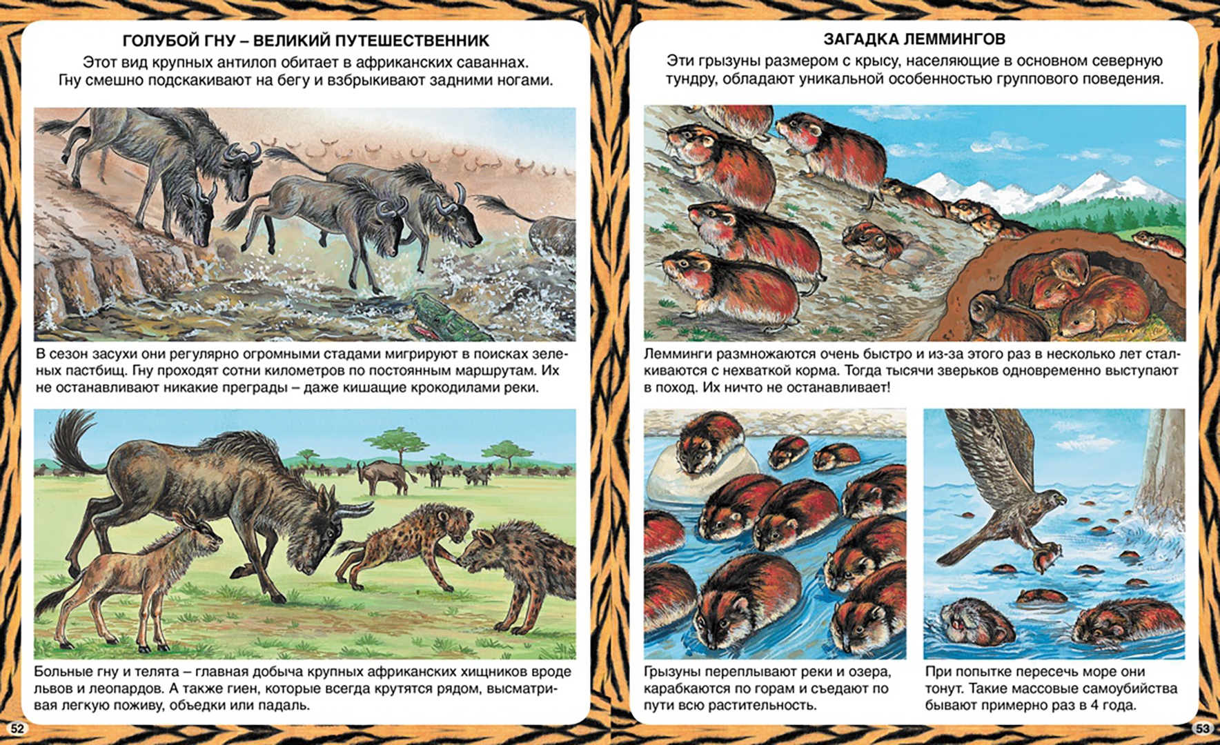 Иллюстрация 5 из 42 для Животные-рекордсмены - Эмили Бомон | Лабиринт - книги. Источник: Лабиринт