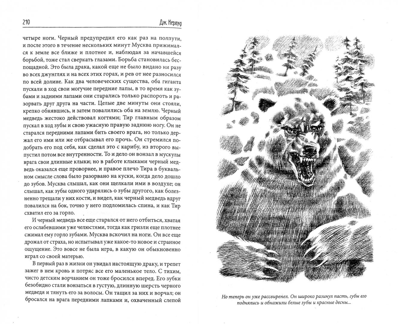Иллюстрация 2 из 35 для Гризли. Сборник - Кервуд, Киплинг, Русселэ | Лабиринт - книги. Источник: Лабиринт