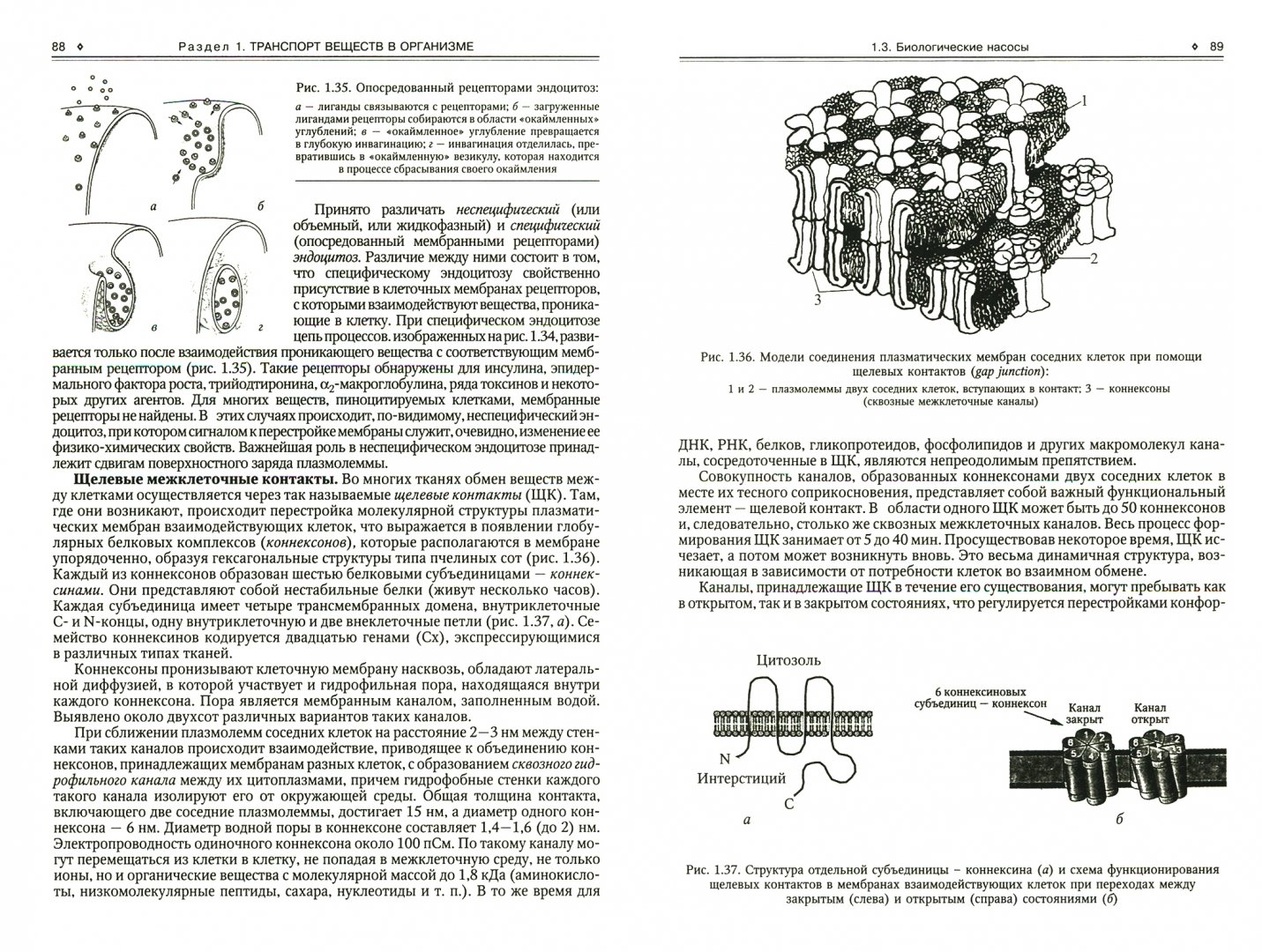 Иллюстрация 1 из 7 для Медицинская биофизика. Учебник - Владимир Самойлов | Лабиринт - книги. Источник: Лабиринт