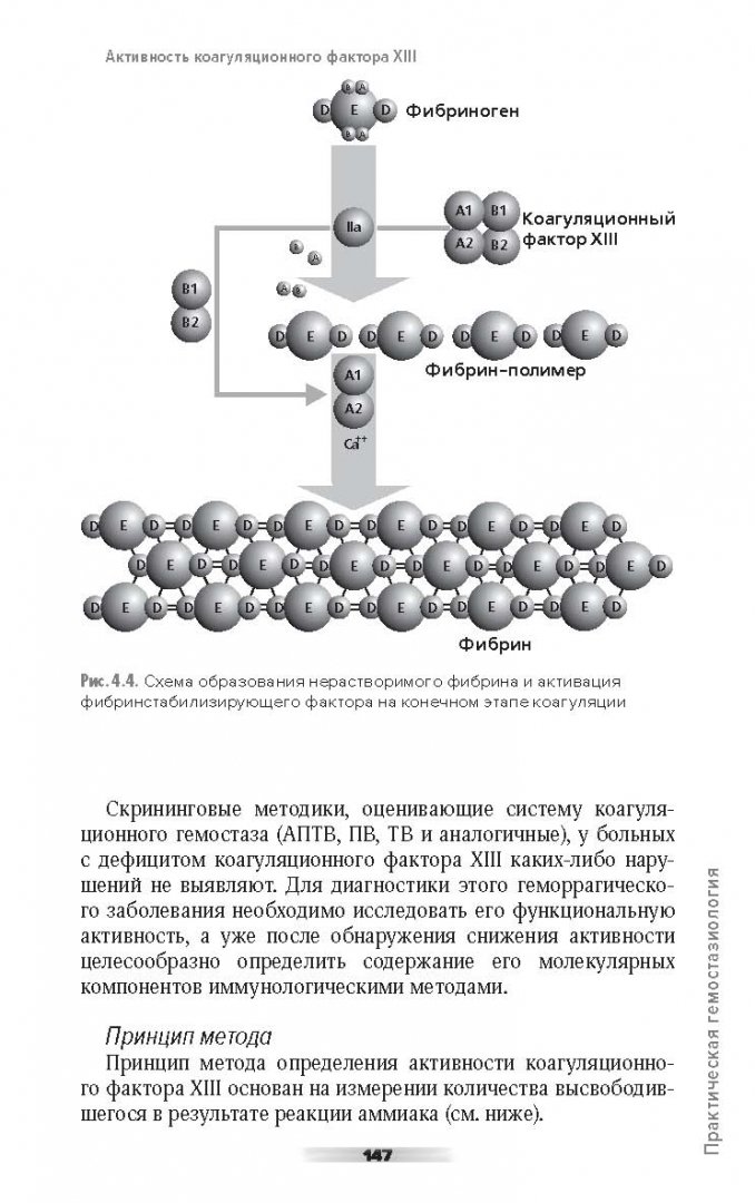 Иллюстрация 9 из 21 для Практическая гемостазиология - Алексей Мамаев | Лабиринт - книги. Источник: Лабиринт