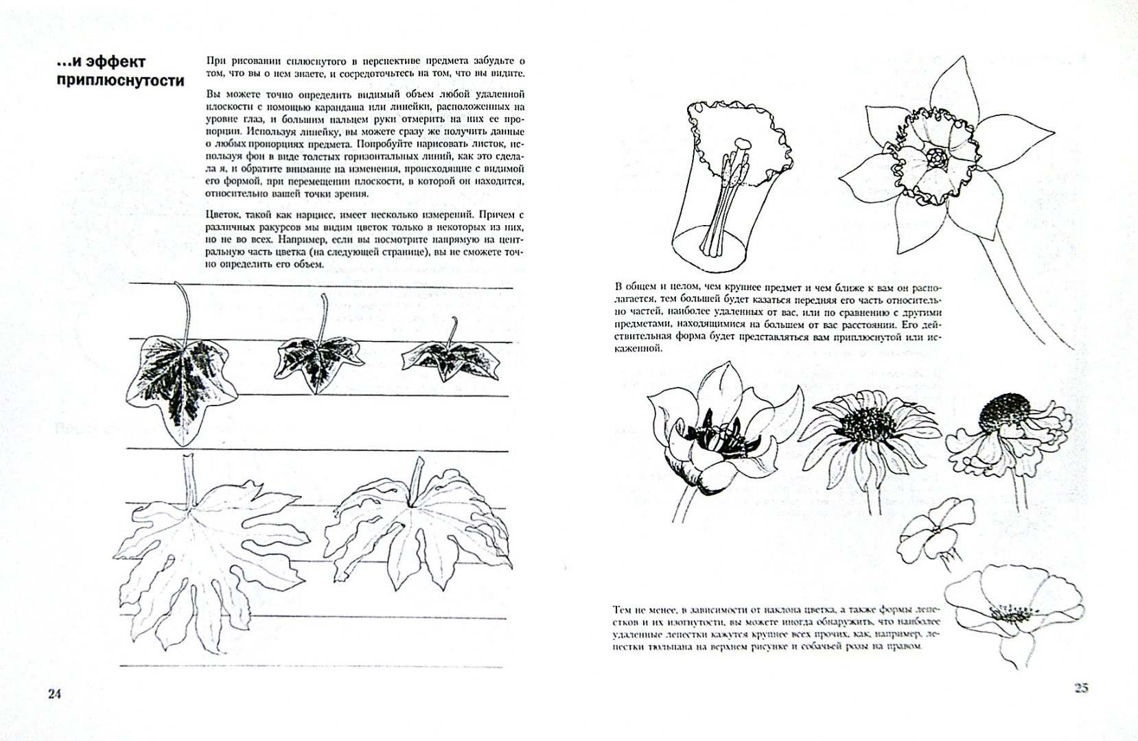 Иллюстрация 1 из 10 для Учитесь рисовать цветы и растения - Мэри Сеймур | Лабиринт - книги. Источник: Лабиринт
