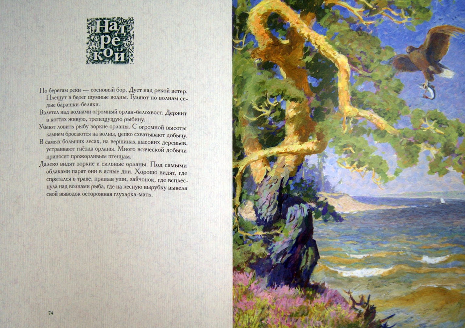 Иллюстрация 1 из 69 для Год в лесу - Иван Соколов-Микитов | Лабиринт - книги. Источник: Лабиринт