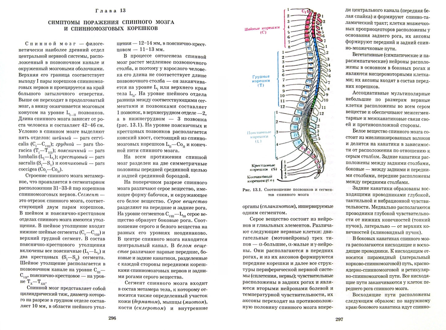 Иллюстрация 1 из 49 для Топическая диагностика заболеваний нервной системы. Руководство для врачей - Скоромец, Скоромец, Скоромец | Лабиринт - книги. Источник: Лабиринт