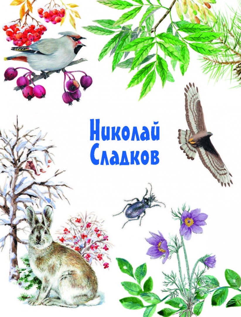Иллюстрация 3 из 48 для Рассказы и сказки о животных - Житков, Сладков, Сахарнов | Лабиринт - книги. Источник: Лабиринт